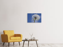 Laden Sie das Bild in den Galerie-Viewer, Leinwandbild 3-teilig Die Pusteblume in XXL