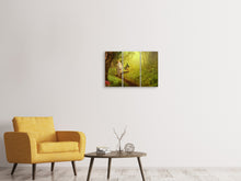 Laden Sie das Bild in den Galerie-Viewer, Leinwandbild 3-teilig Wald Ausflug
