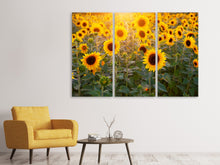 Laden Sie das Bild in den Galerie-Viewer, Leinwandbild 3-teilig Sonnenblumen Feld