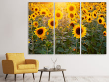 Laden Sie das Bild in den Galerie-Viewer, Leinwandbild 3-teilig Sonnenblumen Feld