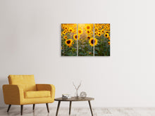 Laden Sie das Bild in den Galerie-Viewer, Leinwandbild 3-teilig Sonnenblumen Feld