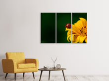 Laden Sie das Bild in den Galerie-Viewer, Leinwandbild 3-teilig Marienkäfer auf der Sonnenblume