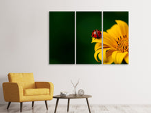 Laden Sie das Bild in den Galerie-Viewer, Leinwandbild 3-teilig Marienkäfer auf der Sonnenblume