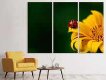 Laden Sie das Bild in den Galerie-Viewer, Leinwandbild 3-teilig Marienkäfer auf der Sonnenblume