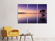 Laden Sie das Bild in den Galerie-Viewer, Leinwandbild 3-teilig Sonnenuntergang am Baum im Wasser