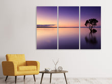 Laden Sie das Bild in den Galerie-Viewer, Leinwandbild 3-teilig Sonnenuntergang am Baum im Wasser