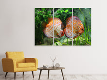 Laden Sie das Bild in den Galerie-Viewer, Leinwandbild 3-teilig 2 Fische