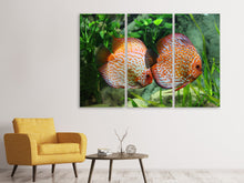 Laden Sie das Bild in den Galerie-Viewer, Leinwandbild 3-teilig 2 Fische