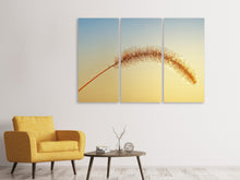 Laden Sie das Bild in den Galerie-Viewer, Leinwandbild 3-teilig Ziergrass in XXL