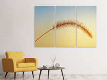 Laden Sie das Bild in den Galerie-Viewer, Leinwandbild 3-teilig Ziergrass in XXL