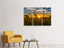 Laden Sie das Bild in den Galerie-Viewer, Leinwandbild 3-teilig Der Sonnenuntergang auf dem Feld