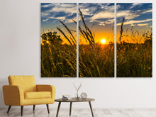 Laden Sie das Bild in den Galerie-Viewer, Leinwandbild 3-teilig Der Sonnenuntergang auf dem Feld