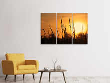 Laden Sie das Bild in den Galerie-Viewer, Leinwandbild 3-teilig Sonnenaufgang auf dem Feld
