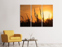Laden Sie das Bild in den Galerie-Viewer, Leinwandbild 3-teilig Sonnenaufgang auf dem Feld