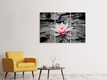 Laden Sie das Bild in den Galerie-Viewer, Leinwandbild 3-teilig Die Kunst der Seerose