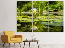 Laden Sie das Bild in den Galerie-Viewer, Leinwandbild 3-teilig Seerose in der Natur