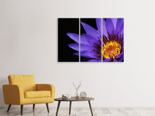 Laden Sie das Bild in den Galerie-Viewer, Leinwandbild 3-teilig XL Seerose in lila