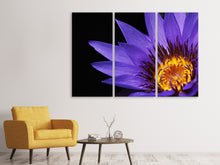 Laden Sie das Bild in den Galerie-Viewer, Leinwandbild 3-teilig XL Seerose in lila