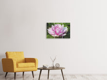 Laden Sie das Bild in den Galerie-Viewer, Leinwandbild 3-teilig Seerose in rosa