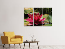 Laden Sie das Bild in den Galerie-Viewer, Leinwandbild 3-teilig Seerose in rot