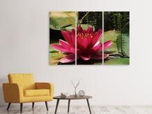 Laden Sie das Bild in den Galerie-Viewer, Leinwandbild 3-teilig Seerose in rot