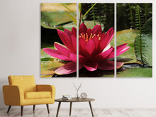 Laden Sie das Bild in den Galerie-Viewer, Leinwandbild 3-teilig Seerose in rot