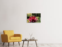 Laden Sie das Bild in den Galerie-Viewer, Leinwandbild 3-teilig Seerose in rot