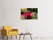 Laden Sie das Bild in den Galerie-Viewer, Leinwandbild 3-teilig Seerose in rot