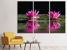 Laden Sie das Bild in den Galerie-Viewer, Leinwandbild 3-teilig Seerosen Duo in pink