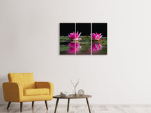 Laden Sie das Bild in den Galerie-Viewer, Leinwandbild 3-teilig Seerosen Duo in pink