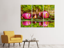 Laden Sie das Bild in den Galerie-Viewer, Leinwandbild 3-teilig Rotes Seerosen Trio