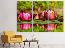 Laden Sie das Bild in den Galerie-Viewer, Leinwandbild 3-teilig Rotes Seerosen Trio
