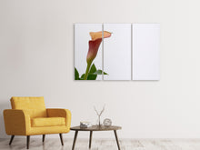 Laden Sie das Bild in den Galerie-Viewer, Leinwandbild 3-teilig Calla in XL