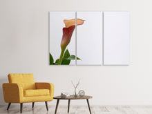 Laden Sie das Bild in den Galerie-Viewer, Leinwandbild 3-teilig Calla in XL