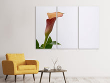 Laden Sie das Bild in den Galerie-Viewer, Leinwandbild 3-teilig Calla in XL