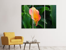 Laden Sie das Bild in den Galerie-Viewer, Leinwandbild 3-teilig Wilde Calla