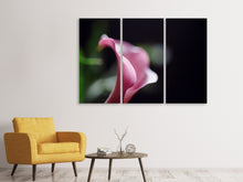 Laden Sie das Bild in den Galerie-Viewer, Leinwandbild 3-teilig Calla in lila