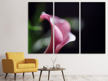 Laden Sie das Bild in den Galerie-Viewer, Leinwandbild 3-teilig Calla in lila