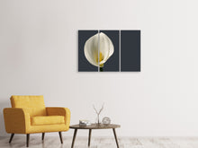 Laden Sie das Bild in den Galerie-Viewer, Leinwandbild 3-teilig Stolze Calla