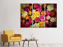 Laden Sie das Bild in den Galerie-Viewer, Leinwandbild 3-teilig Viele bunte Rosenblüten