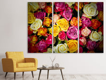 Laden Sie das Bild in den Galerie-Viewer, Leinwandbild 3-teilig Viele bunte Rosenblüten