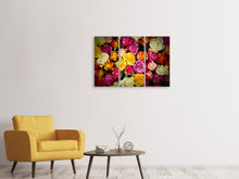 Laden Sie das Bild in den Galerie-Viewer, Leinwandbild 3-teilig Viele bunte Rosenblüten