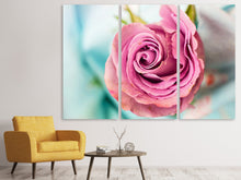 Laden Sie das Bild in den Galerie-Viewer, Leinwandbild 3-teilig Rosenblüte in rosa