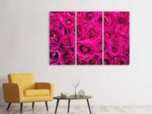 Laden Sie das Bild in den Galerie-Viewer, Leinwandbild 3-teilig Rosenblüten in pink