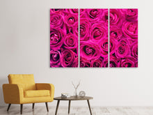 Laden Sie das Bild in den Galerie-Viewer, Leinwandbild 3-teilig Rosenblüten in pink