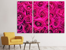 Laden Sie das Bild in den Galerie-Viewer, Leinwandbild 3-teilig Rosenblüten in pink
