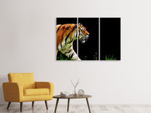 Laden Sie das Bild in den Galerie-Viewer, Leinwandbild 3-teilig Imposanter Tiger