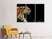 Laden Sie das Bild in den Galerie-Viewer, Leinwandbild 3-teilig Imposanter Tiger