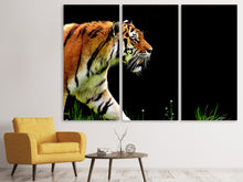 Laden Sie das Bild in den Galerie-Viewer, Leinwandbild 3-teilig Imposanter Tiger