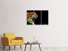 Laden Sie das Bild in den Galerie-Viewer, Leinwandbild 3-teilig Imposanter Tiger